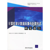 计算机审计数据采集与处理技术研究报告