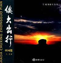 傻大出行中国篇