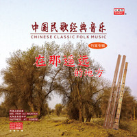中国民歌经典音乐-在那遥远的地方（LP黑胶唱片）