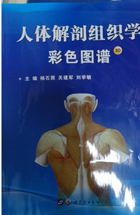 人体解剖组织学