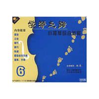 学琴之路小提琴综合教程6(VCD)