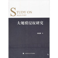大规模侵权研究