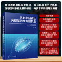 仿刺参肠再生关键基因及调控机制