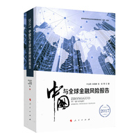 2017中国与全球金融风险报告