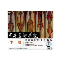 中央美术学院壁画系材料工艺教程木雕(3VCD)