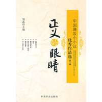 正义的眼睛-中国廉政小小说优秀作品选-第一辑