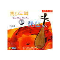 青少年学琵琶VCD