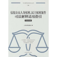 侵犯公民人身权利、民主权利案件司法解释适用指引