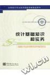 统计基础知识和实务