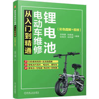 锂电池电动车维修从入门到精通（彩色图解+视频） 刘伟豪  刘遂俊  刘伟杰  马利霞   锂电池 电动车 电动自行车