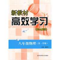 新教材高效学习.八年级物理第一学期
