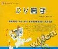 DV高手