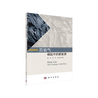 页岩气：崛起中的新能源