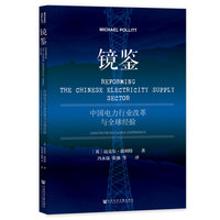 镜鉴:中国电力行业改革与全球经验