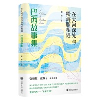 在大河深处与粉海豚相遇：巴西故事集 童晨著 走遍12处世界文化遗产，重识巴西“未来之国”