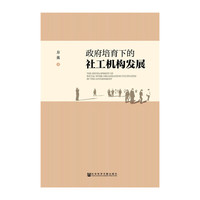 政府培育下的社工机构发展