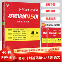 小升初备考计划基础培优45讲 语文