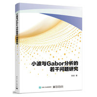 小波与Gabor分析的若干问题研究