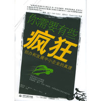 你需要有些疯狂：创办和发展中小企业的真理
