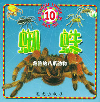 危险的八爪动物：蜘蛛