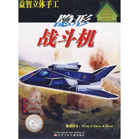 益智立体手工——隐形战斗机