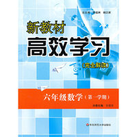 新教材高效学习.六年级数学第一学期