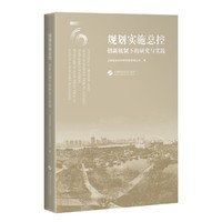 规划实施总控--创新机制下的研究与实践