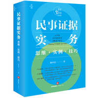 民事证据实务：思维·实例·技巧