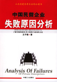 中国民营企业失败原因分析