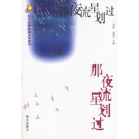 那夜星流划过