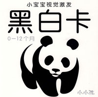 小宝宝视觉激发：黑白卡（0-12个月）