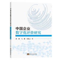 中国企业数字化评价研究