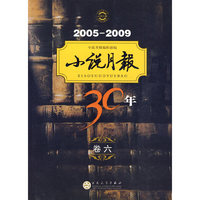 小说月报30年(2005-2009)卷六