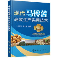 现代马铃薯高效生产实用技术