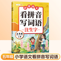 斗半匠看拼音写词语五年级上册 人教版拼音拼读专项练习册生字练习默写看拼音写生字词语专项强化练习