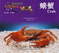 螃蟹——新法布尔自然观察法15（第二辑 水王国）