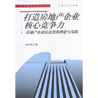 打造房地产企业核心竞争力:房地产企业信息化的理论与实践