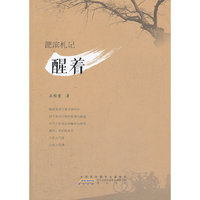 淝滨札记-醒着