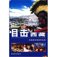 目击西藏 涉藏新闻报道作品选