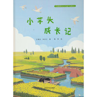 小芋头成长记