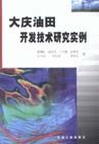 大庆油田开发技术研究实例