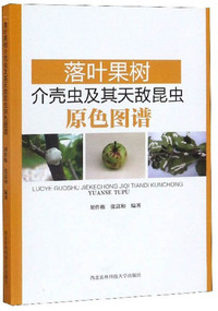 现代设施葡萄栽培技术（彩图版）