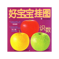好宝宝挂图·识数