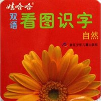 娃哈哈双语看图识字(自然)
