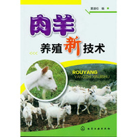 肉羊养殖新技术