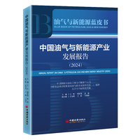 中国油气与新能源产业发展报告（2024）