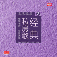经典私房歌-深情依旧(KTV冠军歌曲演唱版LP黑胶唱片）