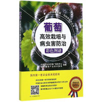 葡萄高效栽培与病虫害防治彩色图谱