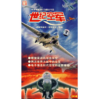 世纪空军(VCD)