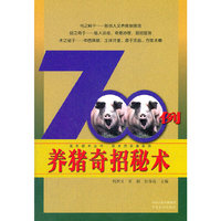 大上海兄弟情深